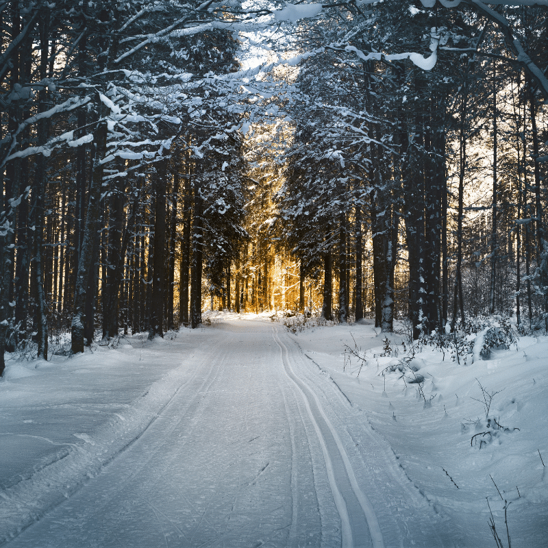 schade winterse omstandigheden